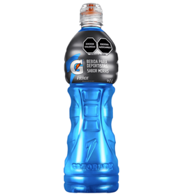 gatorade 1 litro moras gatorade 1 litro moras