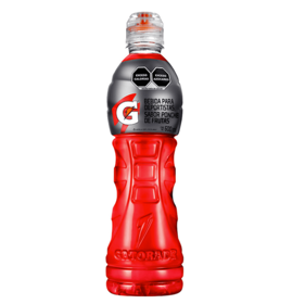 gatorade 600 ml ponche gatorade 600 ml ponche